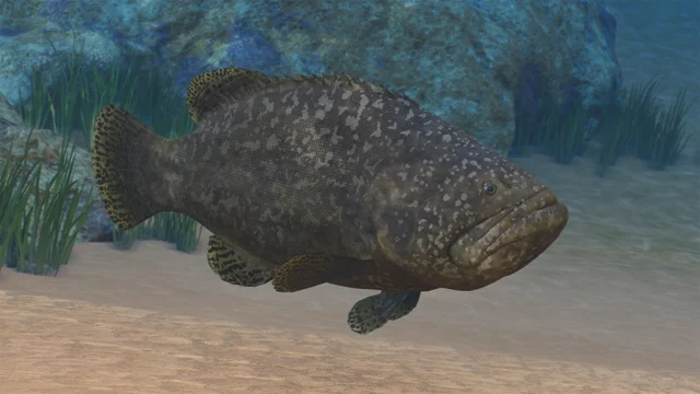 Giant Grouper (Epinephelus lanceolatus) — official Planet Zoo 2 preview