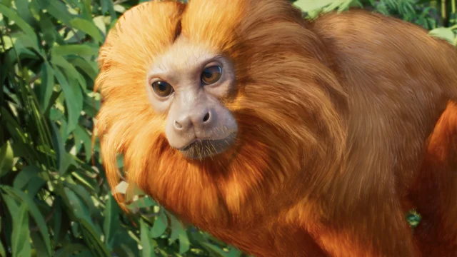 Golden Lion Tamarin (Leontopithecus rosalia) — official Planet Zoo 2 preview